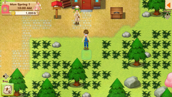 Harvest Moon: Light Of Hope Screenshot 9 (Nintendo Switch (EU Version))