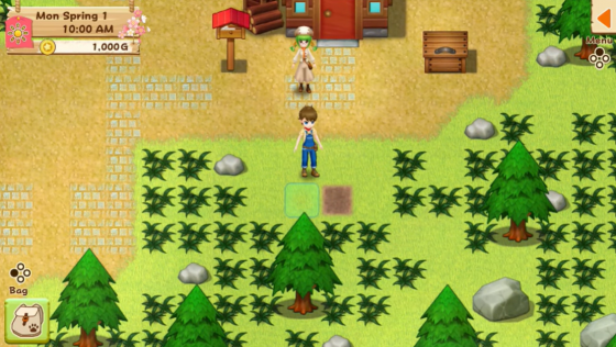 Harvest Moon: Light Of Hope Screenshot 12 (Nintendo Switch (EU Version))