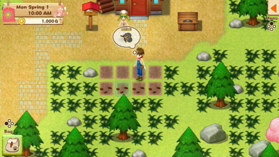 Harvest Moon: Light Of Hope Screenshot 21 (Nintendo Switch (EU Version))