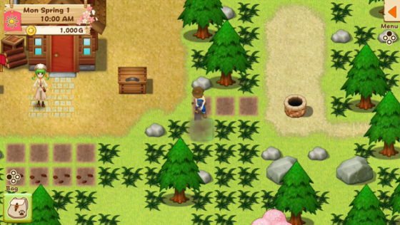 Harvest Moon: Light Of Hope Screenshot 25 (Nintendo Switch (EU Version))