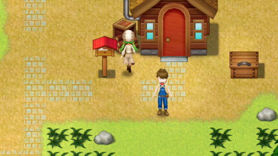 Harvest Moon: Light Of Hope Screenshot 33 (Nintendo Switch (EU Version))