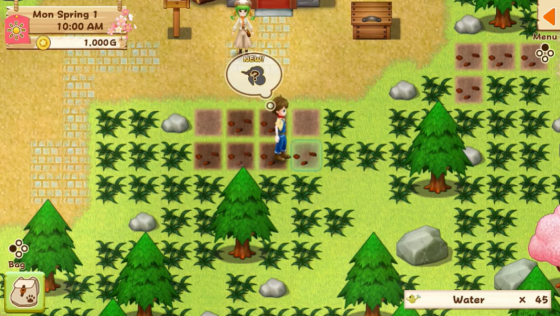 Harvest Moon: Light Of Hope Screenshot 34 (Nintendo Switch (EU Version))