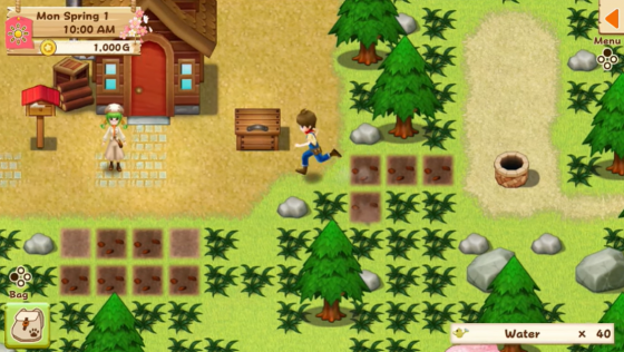 Harvest Moon: Light Of Hope Screenshot 35 (Nintendo Switch (EU Version))