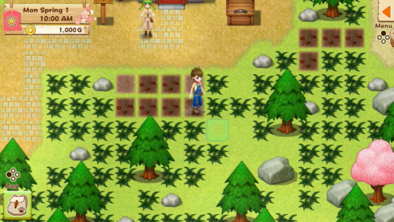 Harvest Moon: Light Of Hope Screenshot 37 (Nintendo Switch (EU Version))