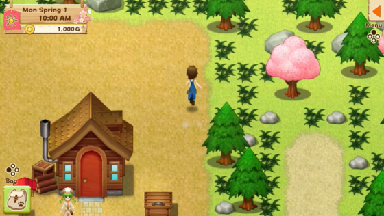 Harvest Moon: Light Of Hope Screenshot 44 (Nintendo Switch (EU Version))