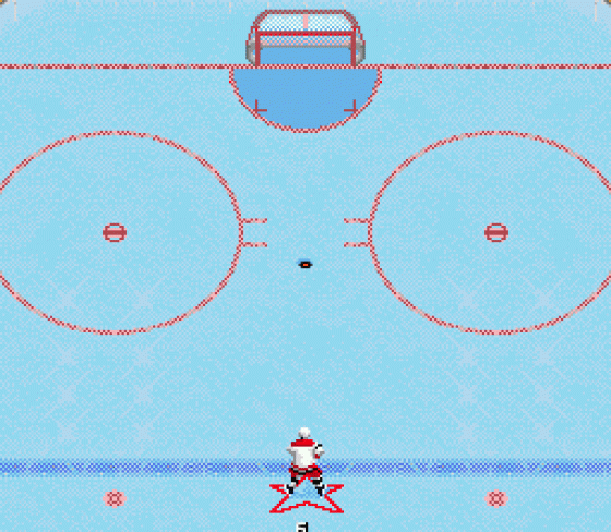NHL 98 Screenshot 11 (Sega Genesis)
