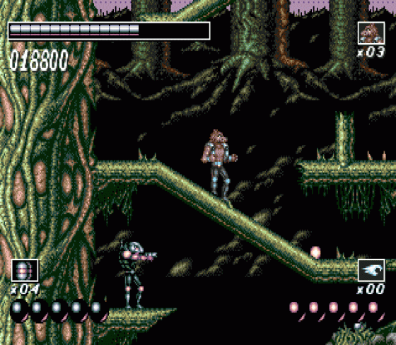 Wolfchild Screenshot 9 (Sega Genesis)