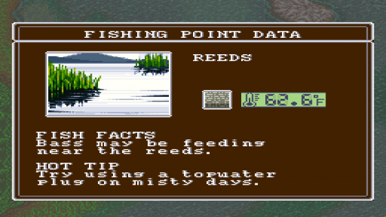 Super Black Bass Screenshot 6 (Super Nintendo (US Version))