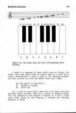 Basic Programming On The Acorn Electron scan of page 117