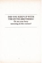 Bytes Brothers 4: Compute A Clue scan of page 33