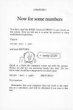 First Steps With Your BBC Micro scan of page 20