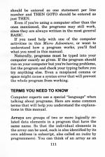 Micro Adventure 2: Jungle Quest scan of page 111