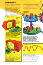 Understanding The Micro scan of page 20