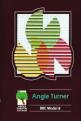 Angle Turner Front Cover