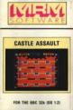 Castle Assault