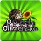 Puzzle Dimension Front Cover