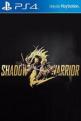 Shadow Warrior 2 Front Cover