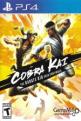 Cobra Kai: The Karate Kid Saga Continues Front Cover