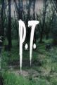 P.T. Front Cover