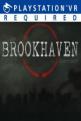 The Brookhaven Experiment