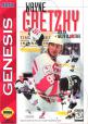 Wayne Gretzky And The NHLPA All-Stars Front Cover