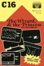 The Wizard And The Princess Front Cover