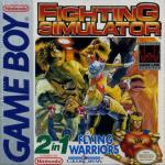 Fighting Simulator: 2-in-1 Flying Warriors Front Cover