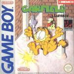 Garfield Labyrinth Front Cover