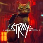 Stray Front Cover