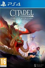 Citadel: Forged With Fire Front Cover