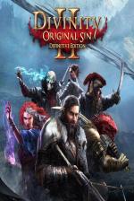 Divinity: Original Sin II Definitive Edition Front Cover