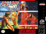 Dig And Spike Volleyball Front Cover