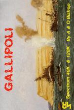 Gallipoli Front Cover