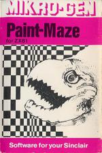 Paint Maze Front Cover