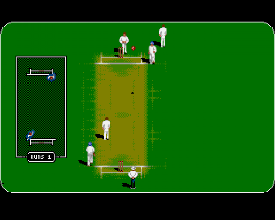 Allan Border's Cricket Screenshot 5 (Amiga 500)