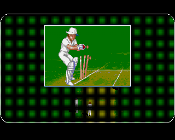 Allan Border's Cricket Screenshot 6 (Amiga 500)