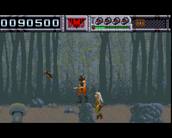 Fly Fighter Screenshot 6 (Amiga 500)