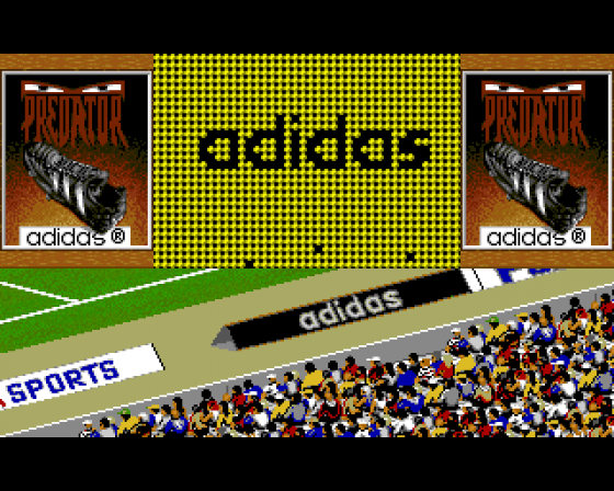 FIFA International Soccer Screenshot 14 (Amiga 500)