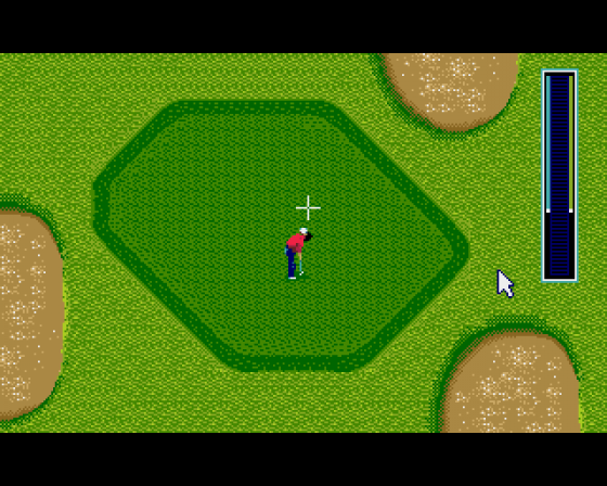 Tournament Golf Screenshot 6 (Amiga 500)