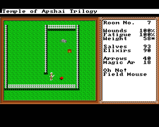 Temple of Apshai Trilogy Screenshot 24 (Amiga 500)