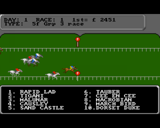 Stable Masters Screenshot 5 (Amiga 500)