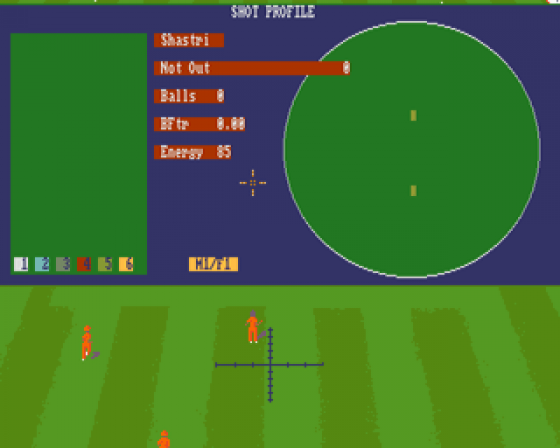 World Cup Cricket Masters Screenshot 11 (Amiga 500)