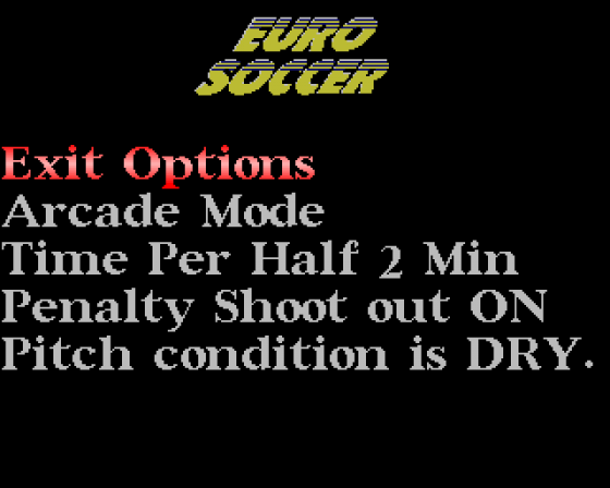 Euro Soccer Screenshot 8 (Amiga 500)