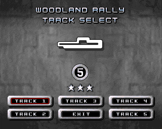 Max Rally Screenshot 10 (Amiga 500)