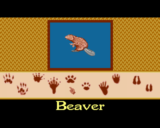 Barney Bear goes Camping Screenshot 10 (Amiga 500)