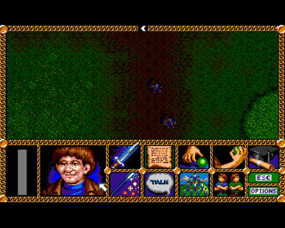 Lord of the Rings: Volume I Screenshot 6 (Amiga 500)