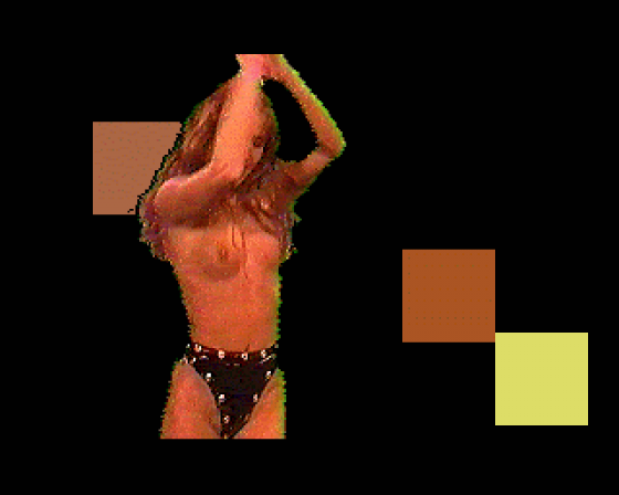 Penthouse Hot Numbers Deluxe Screenshot 26 (Amiga 500)