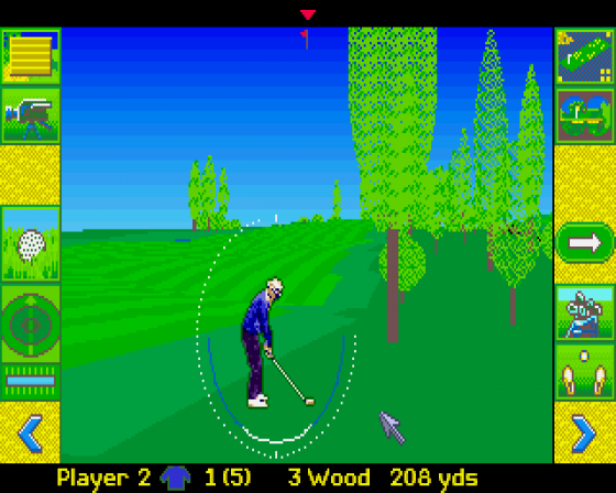 Microprose Golf