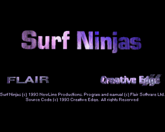 Surf Ninjas