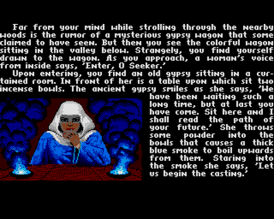 Ultima V: Warriors Of Destiny Screenshot 5 (Amiga 500)